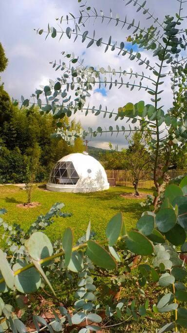 Apartament Dome In The Heart Of Boquete. Zewnętrze zdjęcie